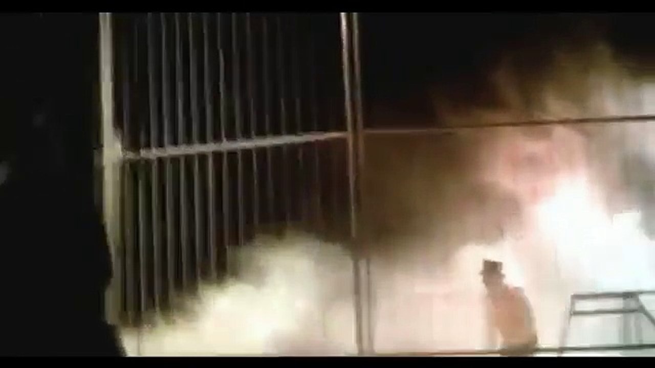 Un tigre attaque son dresseur dans un cirque espagnol