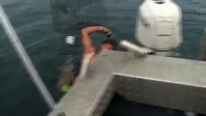 Il échappe de peu à une attaque de requin