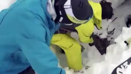 Un cerf enseveli sous la neige