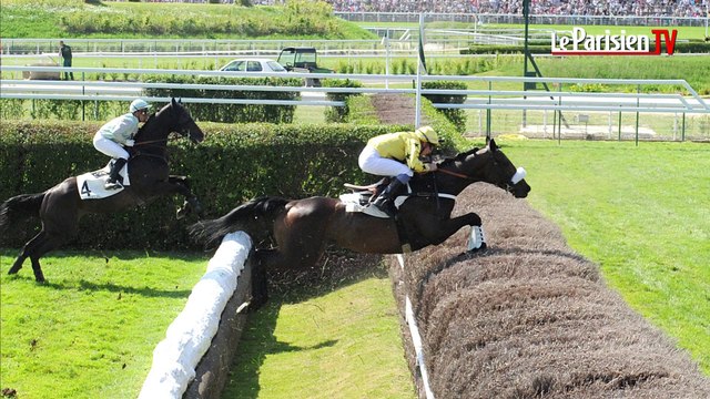 L'écurie du Parisien. Un tour du monde hippique