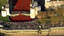 London poppies draw millions of visitors