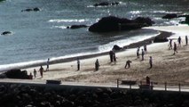 Ambiente hoy 31 Octubre en la playa de Palmera de Candás