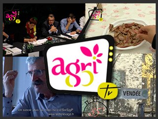 JT Agri85Tv du vendredi 31 octobre 2014