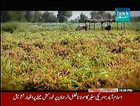 Reporters (Tang Tareeq Elaaqo May Rahaish...) - 31st October 2014