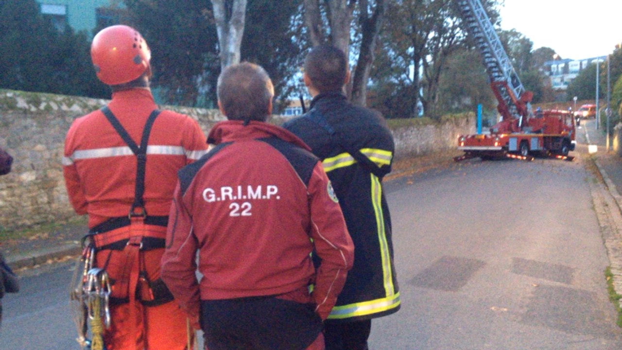 Un nid de frelons délogé