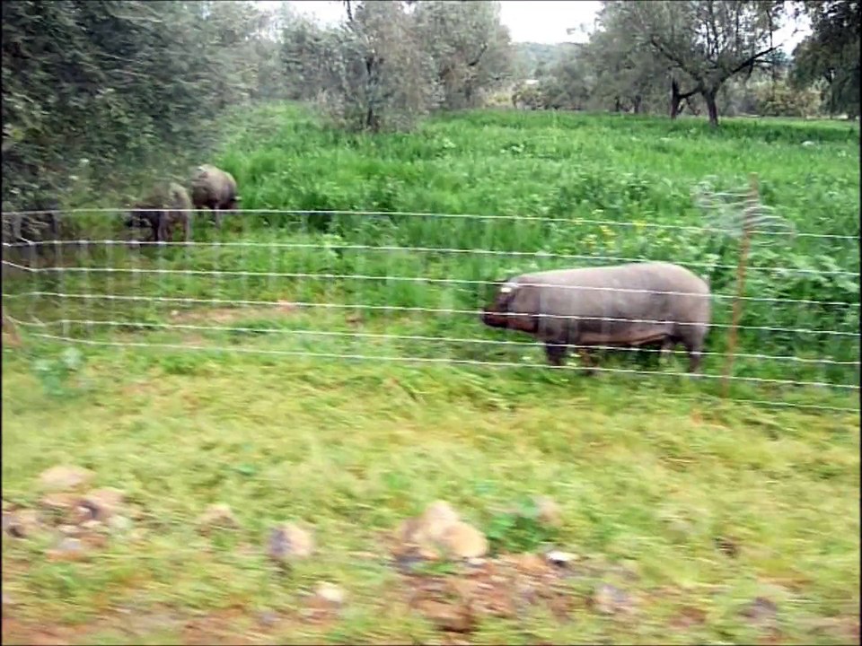 LA-CASA-DEL-JAMON.COM / "Le Grand Marché de la Gastronomie"