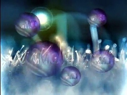 Clip : Les temps forts de la saison