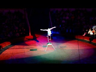 Contortion in ring Act