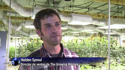 Los caramelos de marihuana preocupan en Colorado