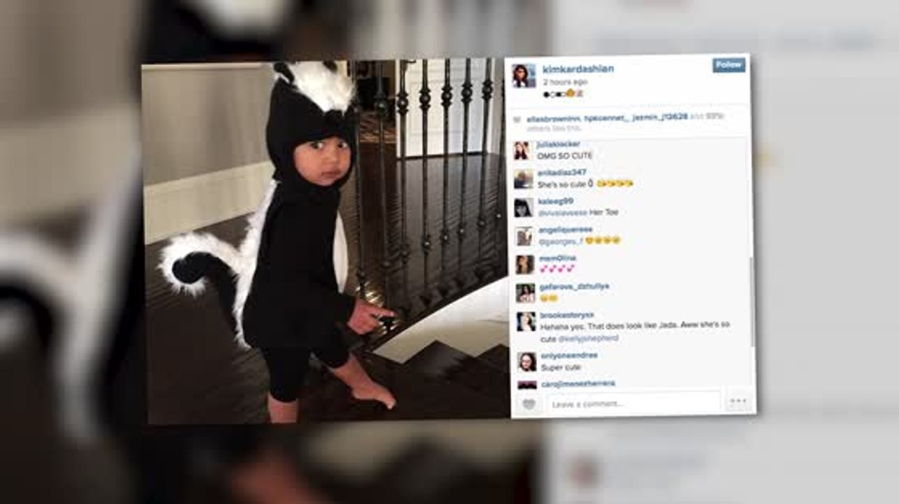 Kim Kardashian Shares Cute Pic of North West the Skunk