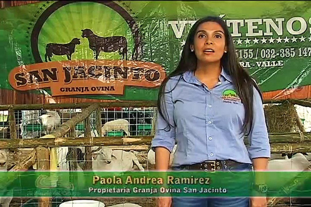 23 octubre ovinos buga 2 web