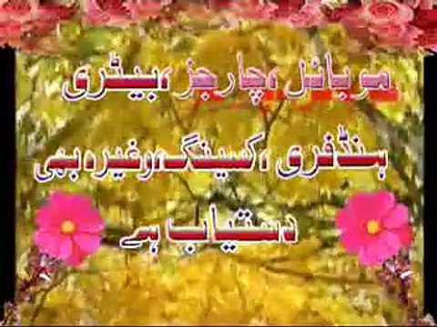 Zakir WASEEM ABBAS BLOCH ( WAPSI MADINA )