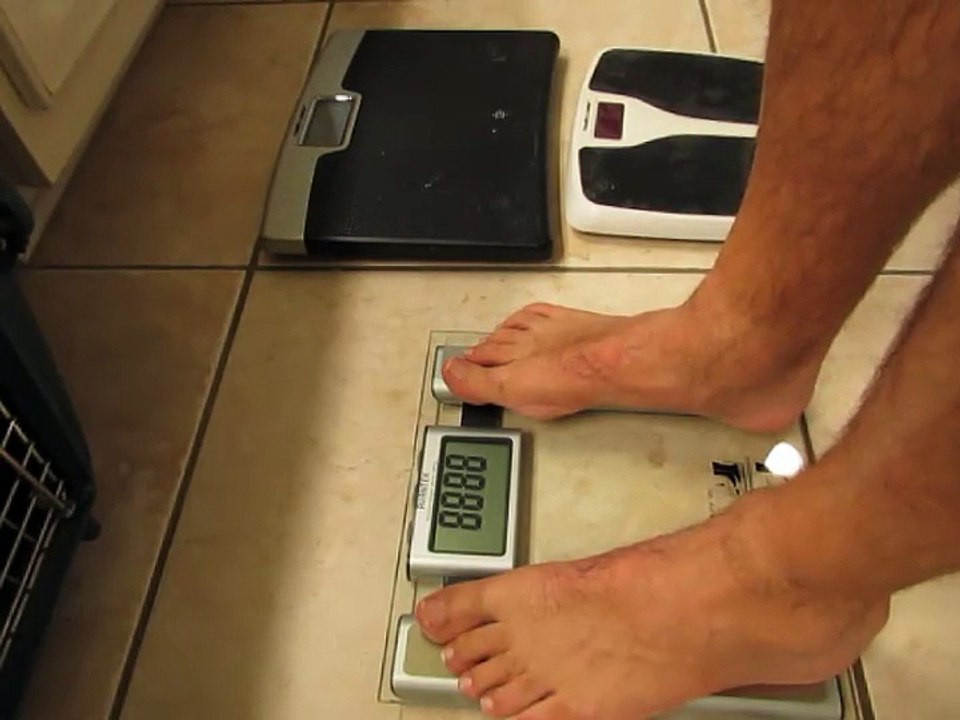VANTEK Digital Bathroom Body Fat Scale Review