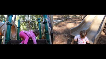 Ember Goes for a Walk - South Carolina 2014 - Side by Side