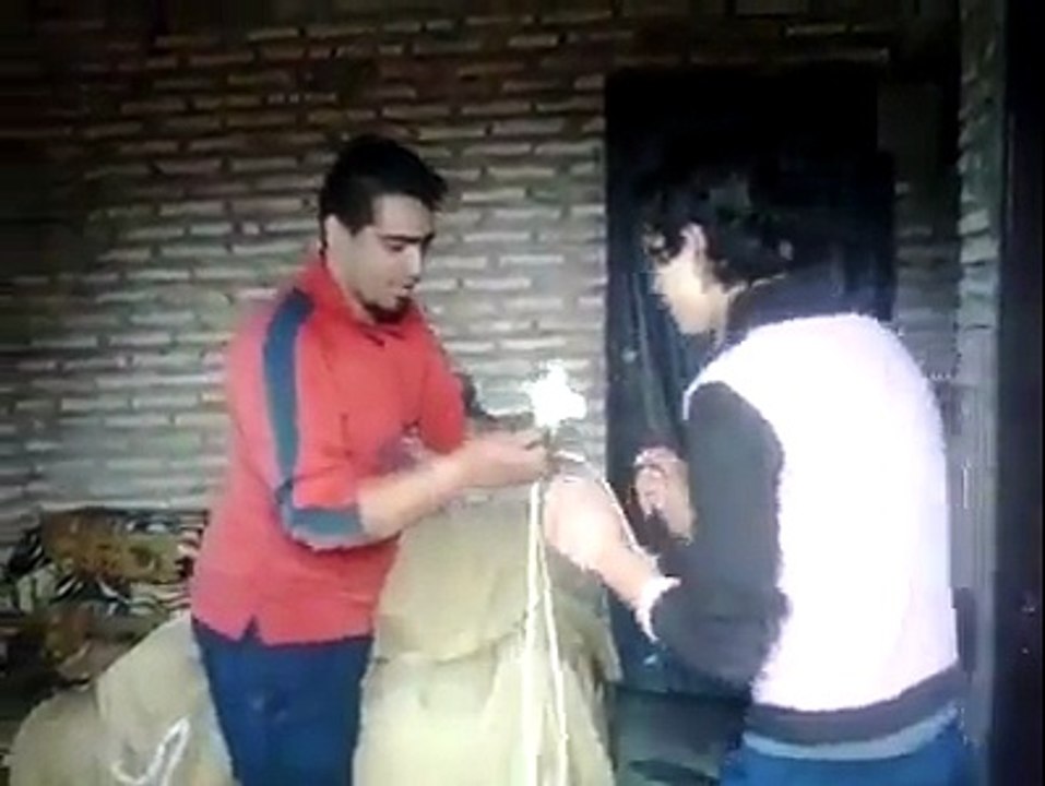 Pobre compa...denle bolillo pa el susto!