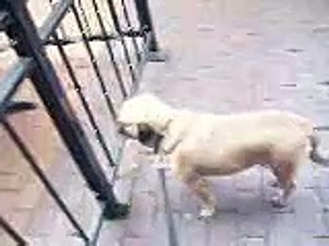 #lebron12 nba espn got me blocked from tweeting cleveland #cavs grand opener dogman karma 10/30/14