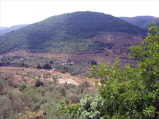 عمر الشعار-للبس الأسود-مرمريتا