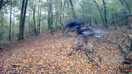 [+18 ~ Sexy Funny Girl]Bike Downill Broken Shoulder - Fails World