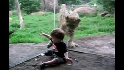 [+18 ~ Sexy Funny Girl]Lion Wants To Play With Baby