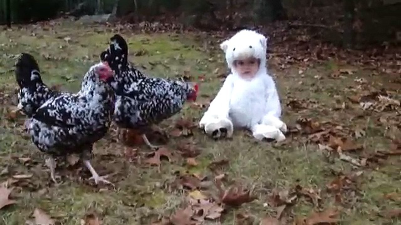[+18 ~ Sexy Funny Girl]Adorable Baby Dressed as Lamb Confuses Chickens