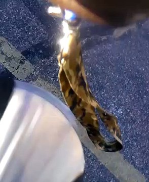 HOW TO LOVE YOUR WIFE AS CHRIST LOVES THE CHURCH.COMMENT AIMER SA FEMME COMME JESUS A AIMÉ L' ÉGLISE