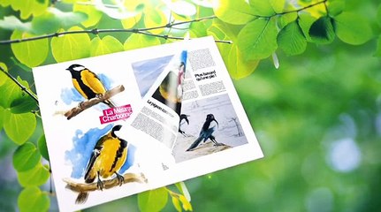 Une Plume à la page - Terres de bocage