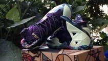 Nike Lebron James 11 Basketball All-Star Classic Shoes Online Review Shoes-clothes-china.ru