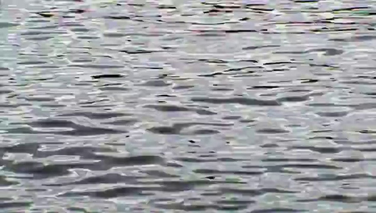 M2U00099