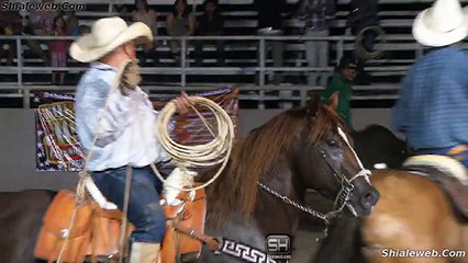 Jaripeo Extremo - PELEA - Jinete Arroya Con El Caballo A Un Peleador - Lamentable Situacion - Monta De Toros Salvajes
