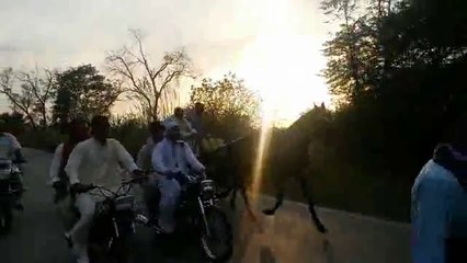 baba gohar rehman horse jhhalla jumma try 31-10-14