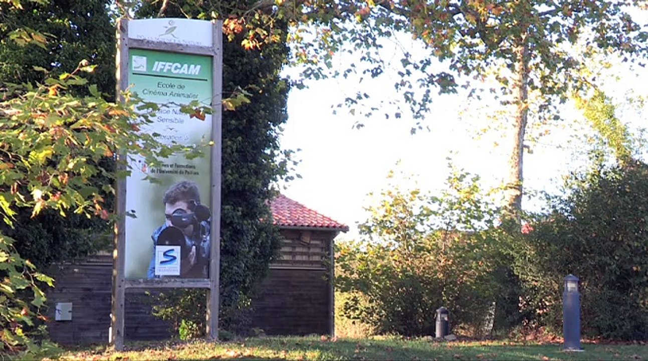 Reportage Fifoff