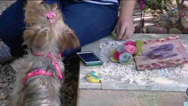 Monserrat (Valencia) acoge uno de los pocos cementerios de mascotas que existen en España