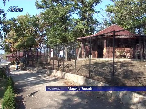 Zimsko radno vreme borskog Zoo vrta, 01. novembar 2014. (RTV Bor)