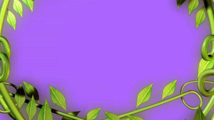 Футаж для текста