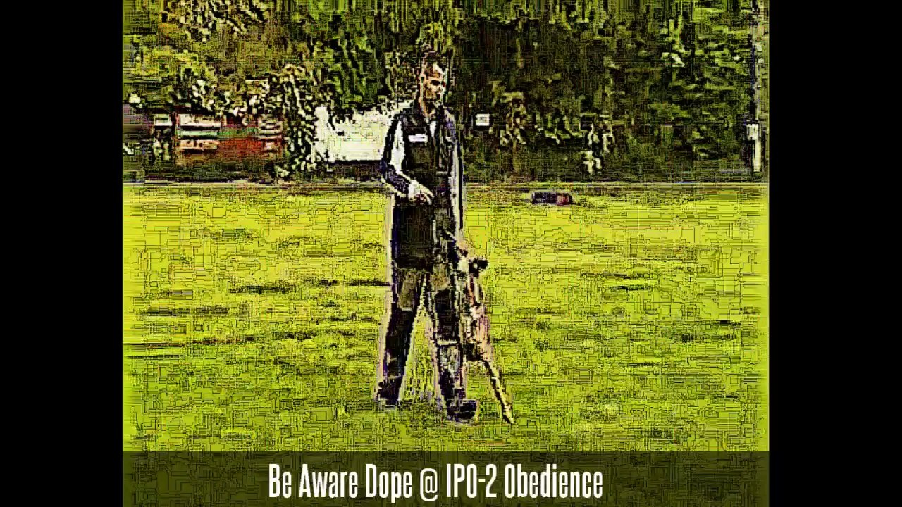 Be Aware Dope @ IPO2-Obedience7Unterordnung