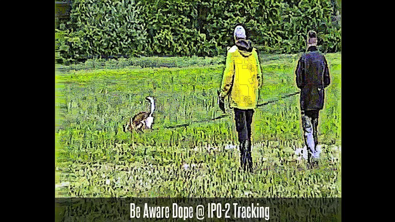 Be Aware Dope @ IPO2-Tracking