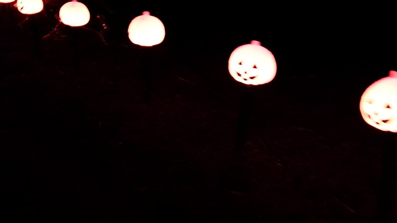 Halloween 2014