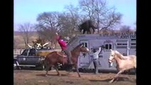 [+18 ~ Sexy Funny Girl]Horses, Ponies and Fails Compilation