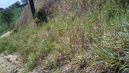 Trilha dos Falcões, Sasselos team, Pedal Matinal, Marcelo Ambrogi, (25)