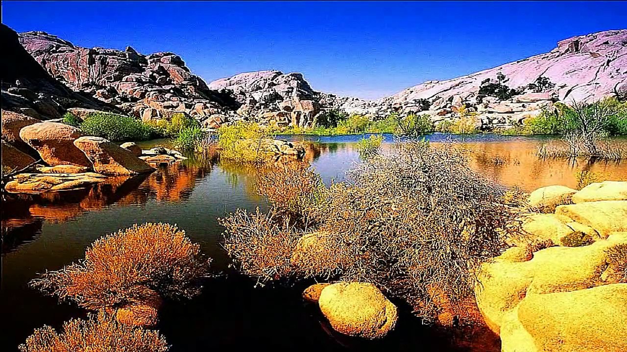 85 - Imágenes de relajación y música de paz total