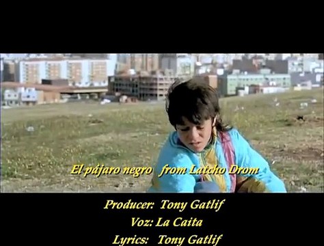 Latcho Drom ~ El pájaro negro