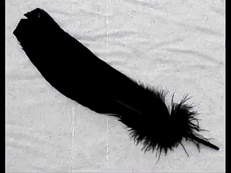 80 - Los Relatos de Teo Rodríguez - La Pluma Negra