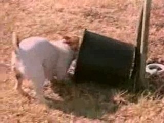 ballon coincé dans un seau !