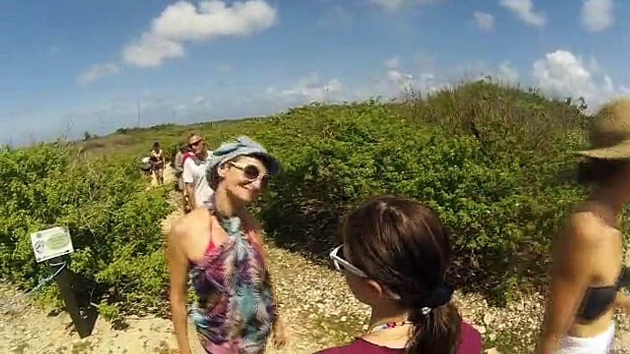 petite terre