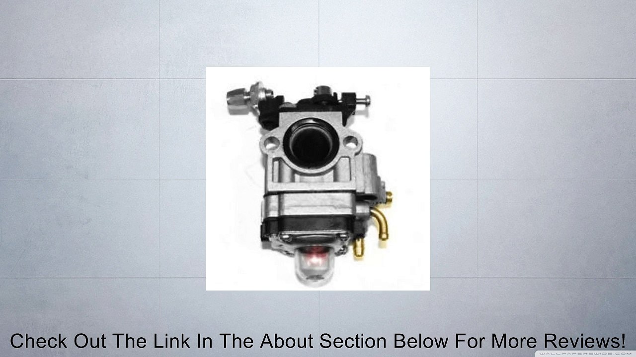 15MM CARBURETOR 43CC 49CC POCKET BIKE MINI QUAD GAS SCOOTER X1 X2 X3 X7 CARB NEW Review