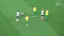 Bizarro! Corinthians tem pênalti cancelado e gol anulado com cachorro em 'campo'
