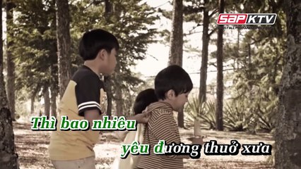 Chút Tình Phai Karaoke - Đàm Vĩnh Hưng