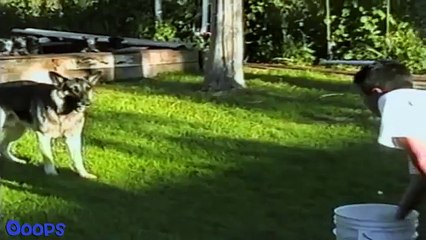 [+18 ~ Sexy Funny Girl]Pranks - Gags - Win - Fail.156