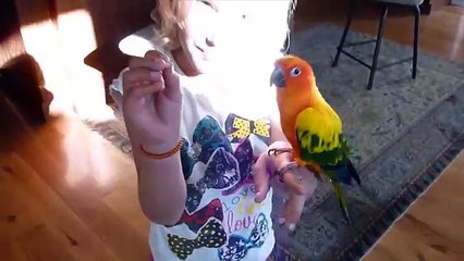 [+18 ~ Sexy Funny Girl]Cute Animals In High Definition (HD) Compilation