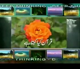 URDU ISLAM MIRACLES HARUN YAHYA 5_5